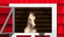horse head in stabl