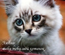Miss ya baby