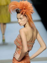 plumes