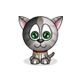 Kitty