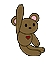 Brown Bear