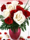 Pretty Roses