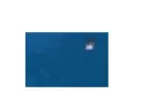 dolphins