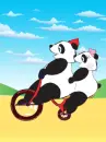 panda lovers riding a bike