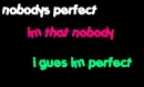 nobodys perfect