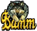 bamm wolf