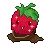 strawberry