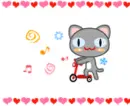 riding cat & chicks running after him