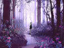 Wonderland