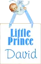 Little Prince David