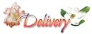 Delivery