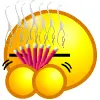 MSN icon