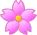 pink flower