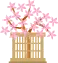 blossom cherry