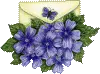purple flowers