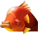 Pianus