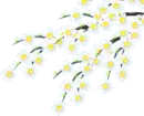 white flowers