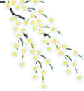 white flowers