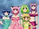 all da mew mews