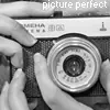 PICTURE PERFECT
