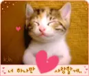CUTE KITTY