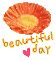 BEAUTIFUL DAY