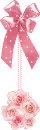 PINL ROSES