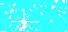 Teal Background