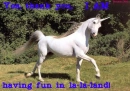 Yes, thank you, I am having fun