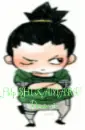 Help SHIKAMARU dominate