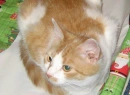 Buttercup &hearts;
