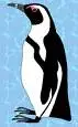 penguinzz