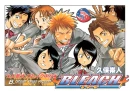 bleach school kids