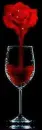 roseandwine
