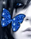 blue butterfly