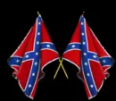 rebel falg