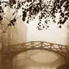 golden bridge