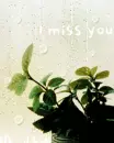 i miss you