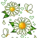cute flowers