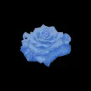 light blue rose