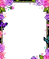 pink&purple flowers