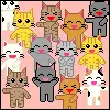 dudie cats