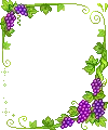 purple grapes