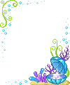 cute shell