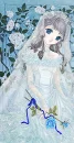 wedding blue