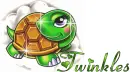 Turtle with Glitter and Name 