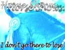 Horse Shows...