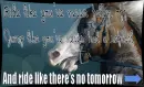 Ride Horses...