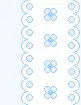 blue flowers
