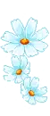 white flowers